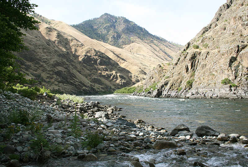Snake River from the river bank